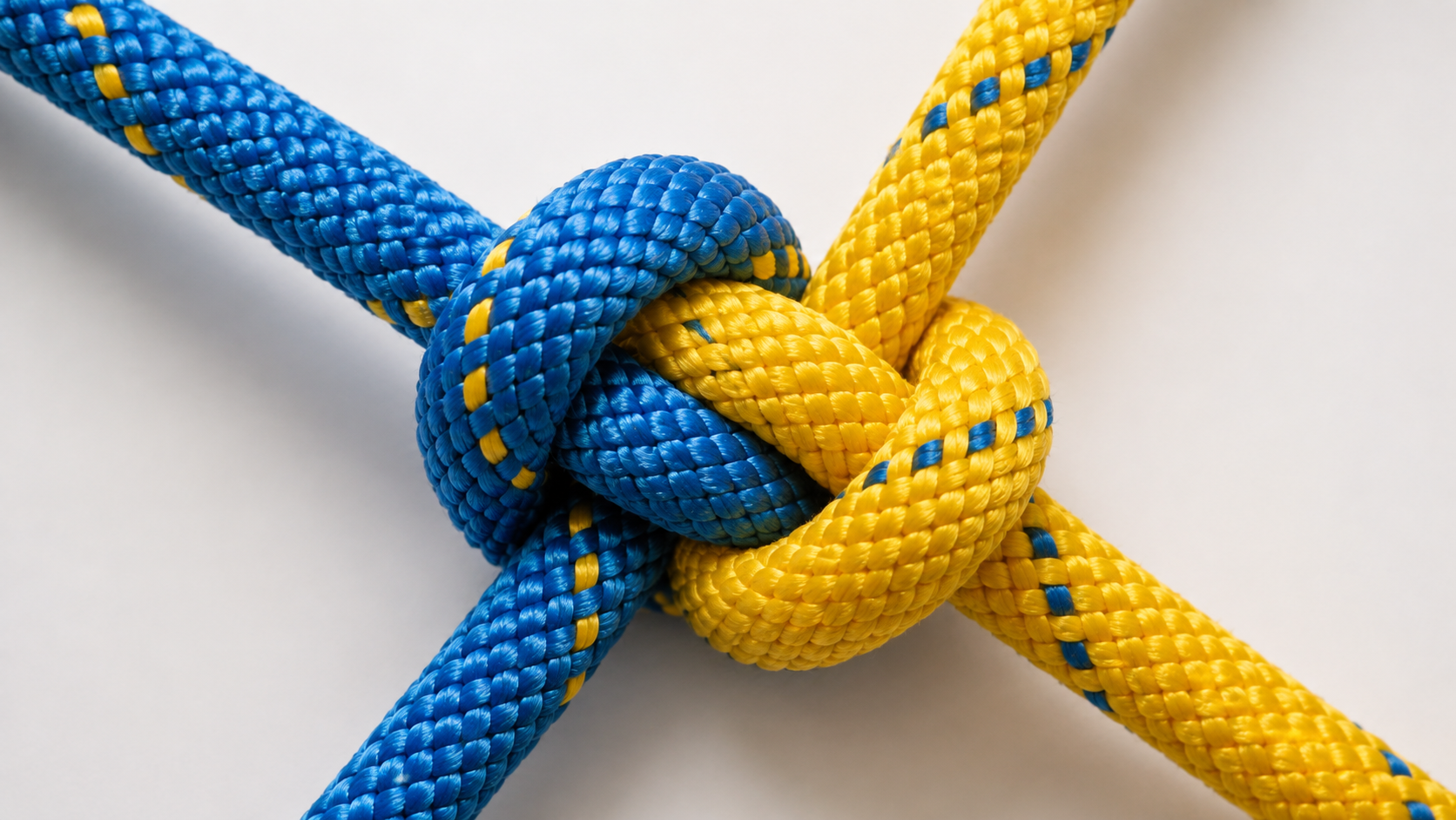 cross selling